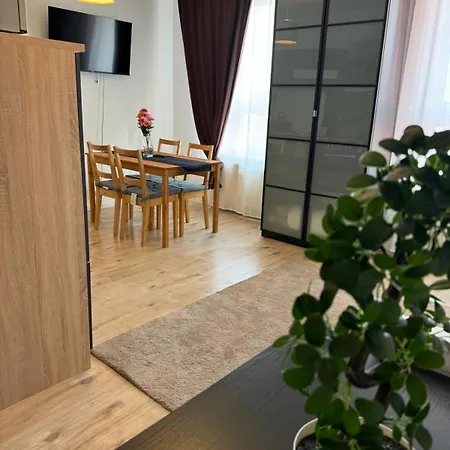 Apartment, 2p, Wifi, Kueche, Modern, Ruhig, Zentral
